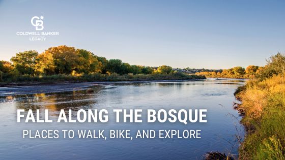Fall Along the Bosque: Scenic Places to Walk, Bike, and Explore in Albuquerque Photo